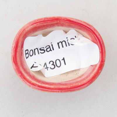 Mini Bonsai Schüssel 3 x 2,5 x 1,5 cm, Farbe rot - 2