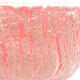 Keramische Bonsai-Schale 18,5 x 18,5 x 7,5 cm, Farbe rissig rot - 2/4