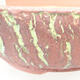 Keramische Bonsai-Schale 18 x 18 x 6,5 cm, Farbe rissig grün - 2/4