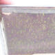Keramische Bonsai-Schale 17,5 x 14 x 6,5 cm, Farbe grün - 2/3