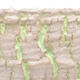 Keramische Bonsai-Schale 16,5 x 16,5 x 7,5 cm, Farbe grün rissig - 2/4