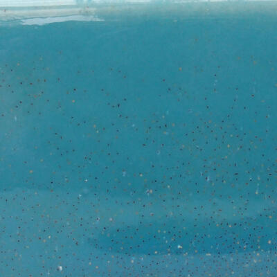 Keramik-Bonsaischale 13 x 10 x 3,5 cm, Farbe Blau - 2