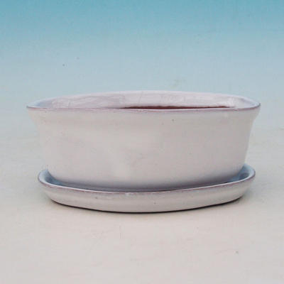 Bonsai Schale Tablett mit Wasser H05 +, weiß - 2