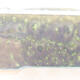 Keramische Bonsai-Schale 23 x 17,5 x 5 cm, Farbe grün - 2/3