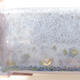 Keramische Bonsai-Schale 15 x 11 x 4 cm, Farbe grün - 2/3