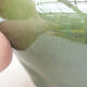 Keramische Bonsai-Schale 10,5 x 10,5 x 4 cm, Farbe grün - 2/3