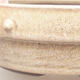 Keramische Bonsai-Schale 18 x 18 x 5,5 cm, beige Farbe - 2/3