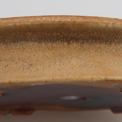 Keramik-Bonsaischale 13 x 10 x 2,5 cm, Farbe Beige - 2