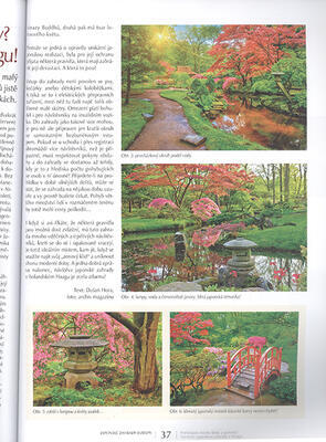 Bonsai und Japanische Gärten Nr.66 - 2