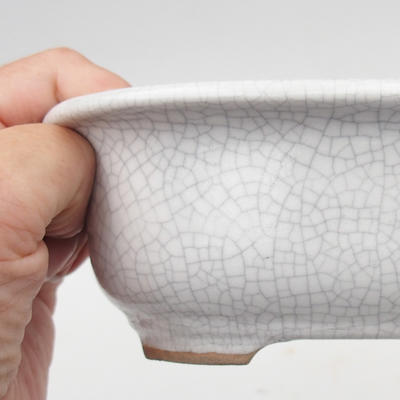 Keramik Bonsai Schüssel 15 x 12 x 5,5 cm, Krebse Farbe - 2