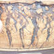Bonsaischale aus Keramik 31 x 31 x 10 cm, Farbe rissig - 2/3