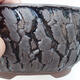 Bonsaischale aus Keramik 15 x 15 x 7 cm, Farbe Riss schwarz - 2/3