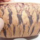 Bonsaischale aus Keramik 20,5 x 20,5 x 7,5 cm, Farbe rissig - 2/3