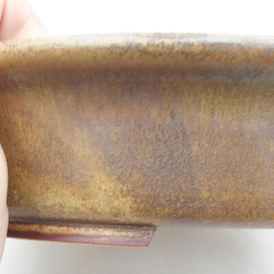 Bonsaischale aus Keramik 24 x 21,5 x 5,5 cm, Farbe braun - 2
