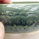 Bonsaischale aus Keramik 19 x 19 x 7 cm, Farbe grün - 2/3