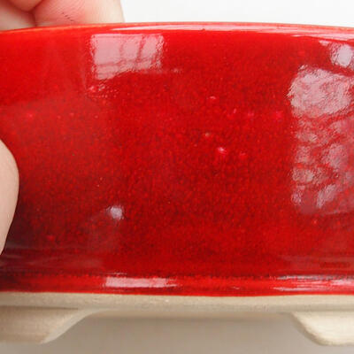 Bonsaischale aus Keramik 19 x 19 x 5,5 cm, Farbe rot - 2