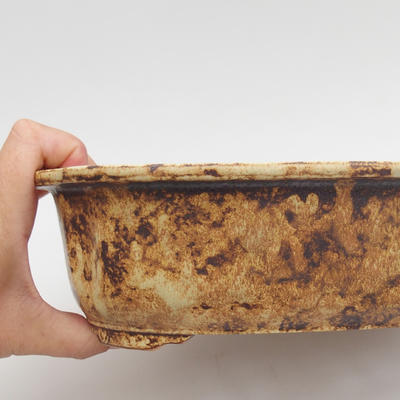 Keramik Bonsai Schüssel 24,5 x 20 x 7 cm, gelbe Farbe - 2