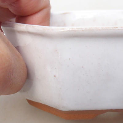 Keramik Bonsai Schüssel H 13 - 11,5 x 11,5 x 4,5 cm, Weiß - 2
