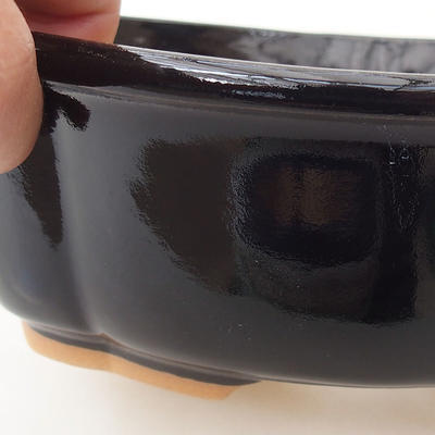 Bonsai-Schale H 75 - 19 x 14 x 7 cm, schwarz glänzend - 2
