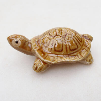 Keramikfigur - Schildkröte C6 - 2