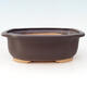 Bonsai-Untertasse aus Keramik H 55 - 29 x 24 x 2 cm, schwarz matt - 2/3