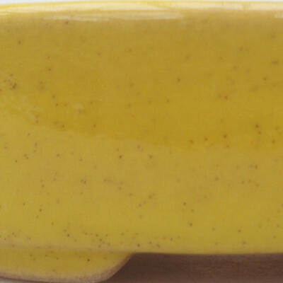 Keramik-Bonsaischale 9,5 x 8,5 x 3 cm, Farbe gelb - 2
