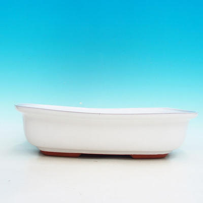 Keramik Bonsai Schüssel H 10 - 37 x 27 x 10 cm, weiß - 37 x 27 x 10 cm - 2
