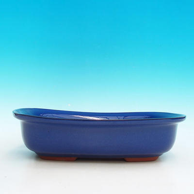 Keramik Bonsai Schüssel H 10 - 37 x 27 x 10 cm, blau - 37 x 27 x 10 cm - 2
