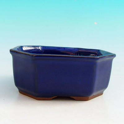 Keramik Bonsai Schüssel H 13 - 11,5 x 11,5 x 4,5 cm, blau - 11,5 x 11,5 x 4,5 cm - 2