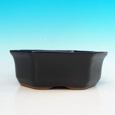 Keramik Bonsai Schüssel H 14 - 17,5 x 17,5 x 6,5 cm, schwarz - 17,5 x 17,5 x 6,5 cm - 2
