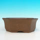 Keramik Bonsai Schüssel H 14 - 17,5 x 17,5 x 6,5 cm, braun - 2/3