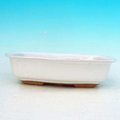 Bonsaischale aus Keramik H 02 - 19 x 13,5 x 5 cm, weiß - 19 x 13,5 x 5 cm - 2