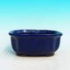 Bonsaischale aus Keramik H 31 - 14,5 x 12,5 x 6 cm, blau - 14,5 x 12,5 x 6 cm - 2/3