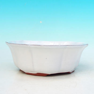 Bonsaischale aus Keramik H 06 - 14,5 x 14,5 x 4,5 cm, weiß - 14,5 x 14,5 x 4,5 cm - 2