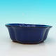 Bonsaischale aus Keramik H 06 - 14,5 x 14,5 x 4,5 cm, blau - 14,5 x 14,5 x 4,5 cm - 2/3