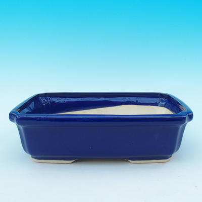 Bonsai-Schale und Tablett mit Wasser H 20, blau - 2