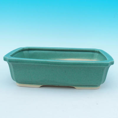 Bonsai-Schale und Tablett mit Wasser H 20, grün - 2