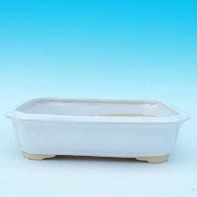 Bonsai-Schale und Tablett mit Wasser H 20, Weiß - 2