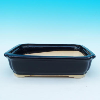 Bonsai-Schale und Tablett mit Wasser H 20, schwarz glänzend - 2