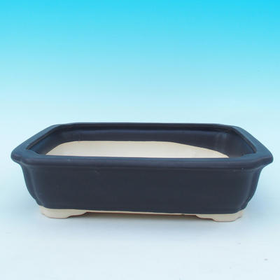 Bonsai-Schale und Tablett mit Wasser H 20, schwarz matt - 2