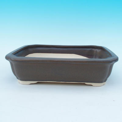 Bonsai-Schale und Tablett mit Wasser H 20, braun - 2
