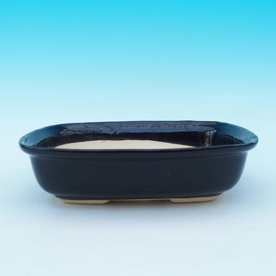 Bonsai Schale Tablett mit Wasser + H 08 - 2