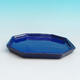 Bonsai Tablett 13 - 11 x 11 x 1,5 cm, blau - 11 x 11 x 1,5 cm - 2/3