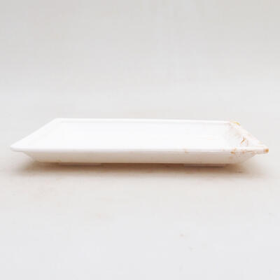 Bonsai-Untertasse Kunststoff PP-1 weiß 15 x 11 x 1,8 cm - 2
