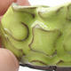 Keramikschale 8 x 6 x 5 cm, Farbe grün - 3/3