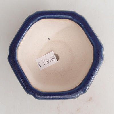 Bonsaischale aus Keramik 8 x 8 x 4,5 cm, Farbe blau - 3