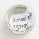 Mini Bonsai Schüssel 2,5 x 2,5 x 2 cm, Farbe blau - 3/3