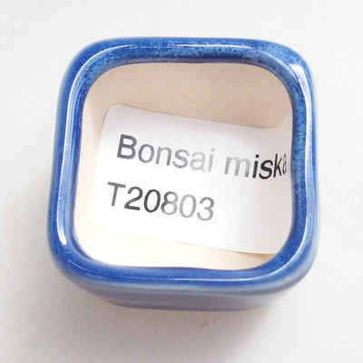 Mini Bonsai Schüssel 3 x 3 x 2,5 cm, Farbe blau - 3