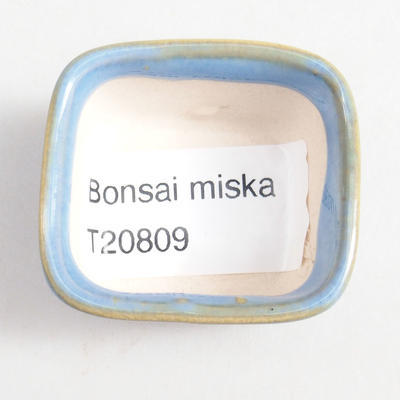 Mini Bonsai Schüssel 4 x 3,5 x 2,5 cm, Farbe blau - 3
