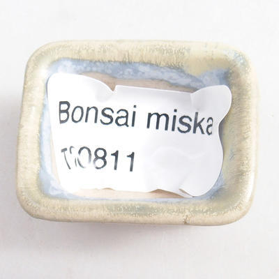 Mini Bonsai Schüssel 3,5 x 2,5 x 2 cm, Farbe blau - 3